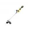 DeWALT DCMST561P1-QW ruohonleikkuri