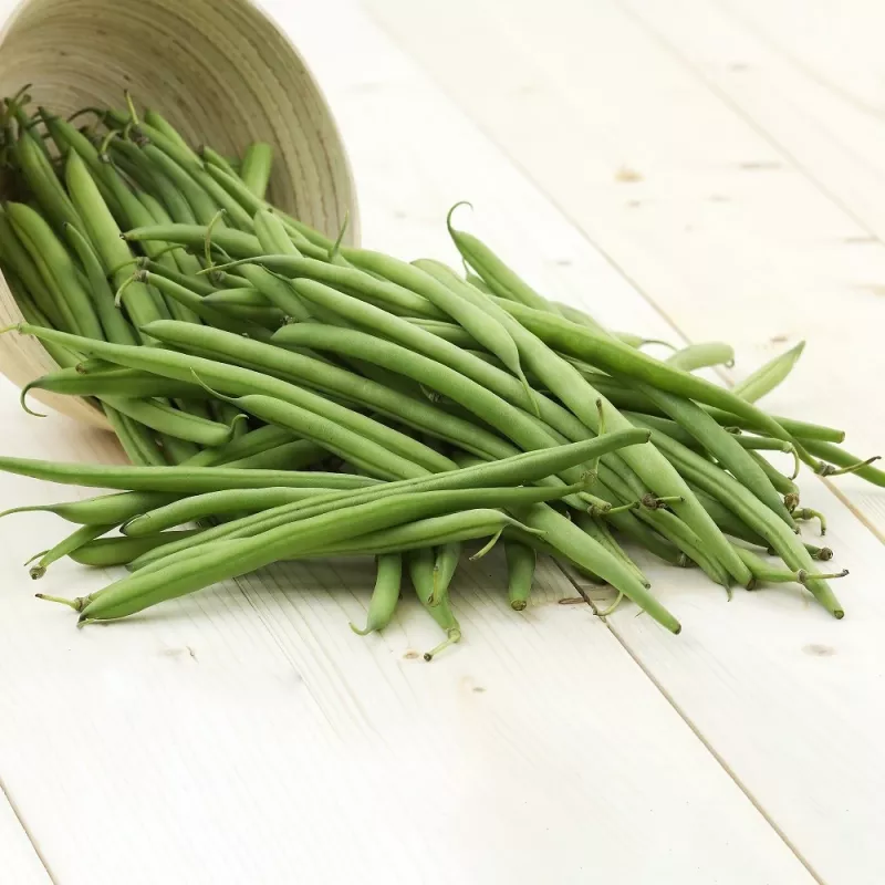 Nomad Green Dwarf papusiemenet, 50g - vihannessiemenet