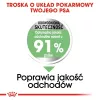 ROYAL CANIN CCN Medium Digestive Care - kuivaruoka koirille - 3 kg