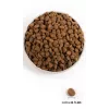 Orijen Regional Red 2 kg aikuisille nauta, lammas, sika