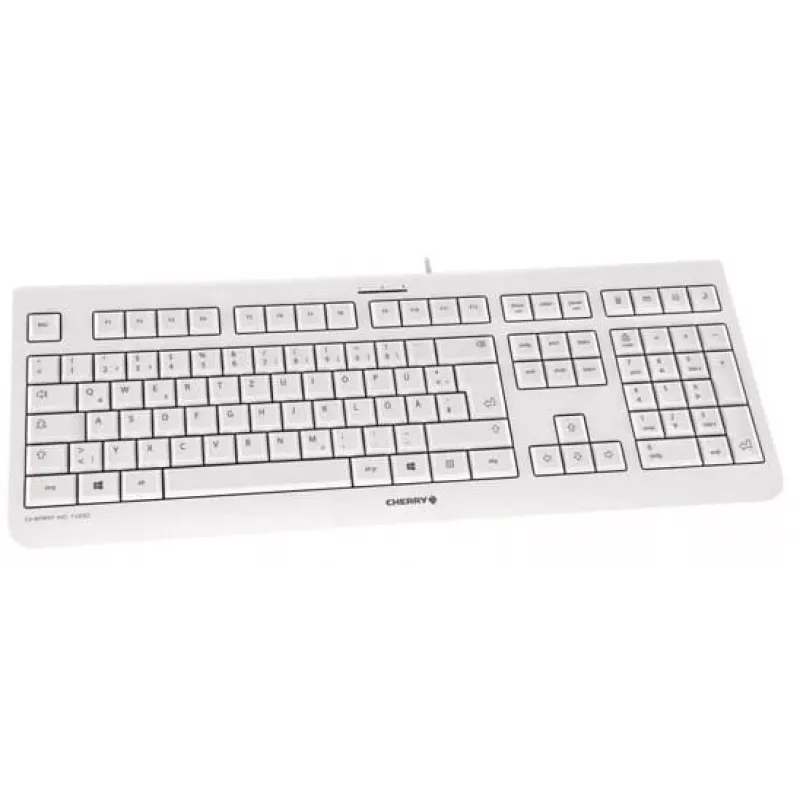 CHERRY KC 1000 näppäimistö kotiin USB sveitsiläinen asettelu harmaa