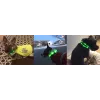LED-panta Anicoll vihreä koirille ja kissoille malli ladattava valaistus