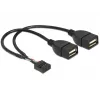 Sisäinen USB-kaapeli DeLOCK 83292 0,2 m liitin-liitin