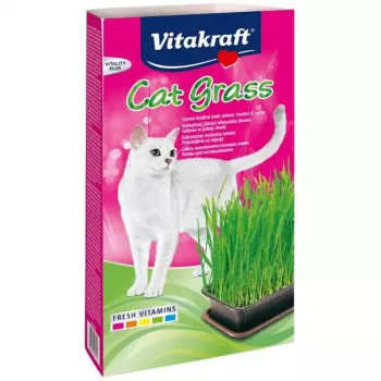 Kissanruohosetti Vitakraft 120 g – syötävä ruohosetti kissoille, gluteeniton, säilöntäaineeton
