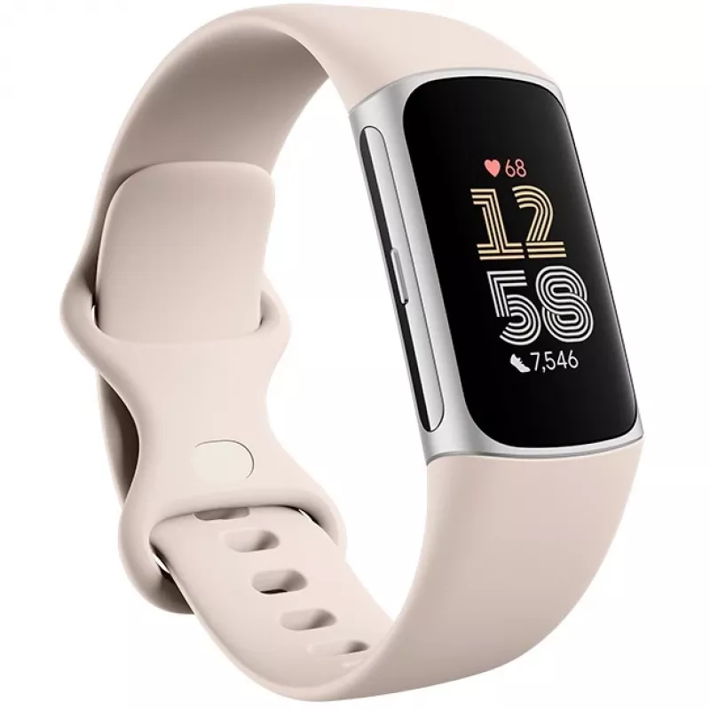 Fitbit GA05185-EU tuote hopea