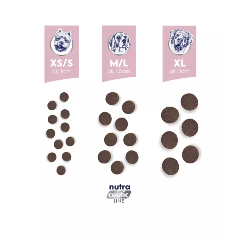 BALTICA NUTRACEUTIC hypoallergeeninen lammas & riisi M 12 kg