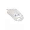 Hiiri White Shark GM-9004 Tristan-2 valkoinen RGB USB