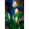 LEGO BOTANICALS 11504 Rauhanlilja