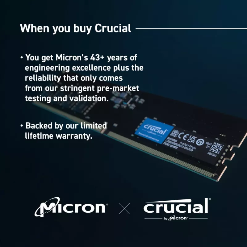 Crucial Pro - DDR5 - moduuli - 16 GB - DIMM 288-PIN Low Profile