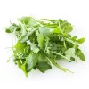 PNOS rucola Eruca sativa siemenet nauhalla, 6 m
