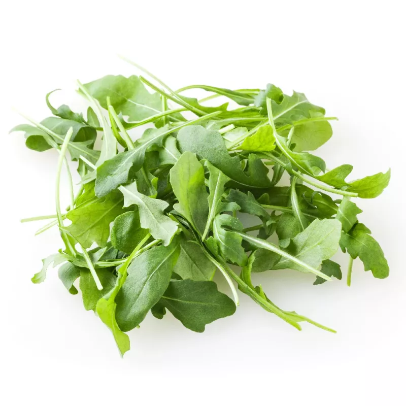 PNOS rucola Eruca sativa siemenet nauhalla, 6 m
