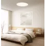 Älykäs kattovalaisin Xiaomi D40 WiFi 45W valkoinen