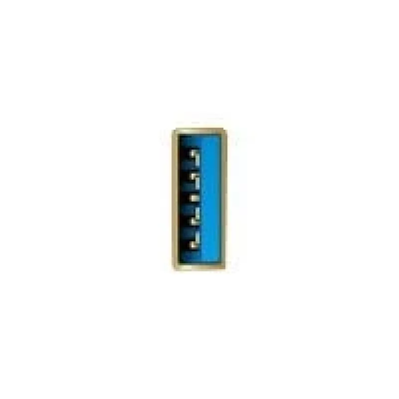Adapteri USB Type-A-uros 2,5 Gigabit LAN DeLOCK 66646