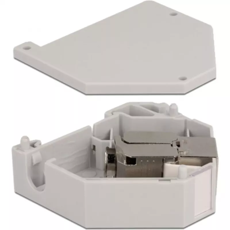 Delock - modulaariadapteri - DIN-kiskoon asennettava - CAT 6a - STP - harmaa - 1 liitäntä (86014)
