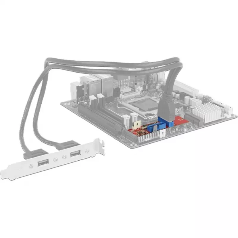 Delock muunnin M.2 Key B+M pistoke > 2 x USB 3.0 liitinlista - USB-adapteri - M.2-kortti - USB 3.0 (sisäinen) x 2 (62843)