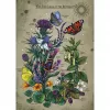 Ravensburger palapeli Circle of Life Butterfly 1000 palaa