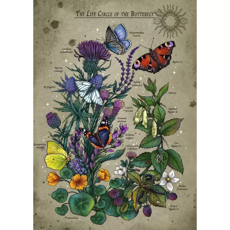 Ravensburger palapeli Circle of Life Butterfly 1000 palaa