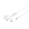 Delock USB-adapteri - USB Type-A (naaras) - 24-pin USB-C (uros)