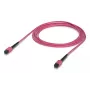 Ubiquiti UACC-OFC-MA-MPMP-3M MPO/UPC kuitukaapeli 3m OM4
