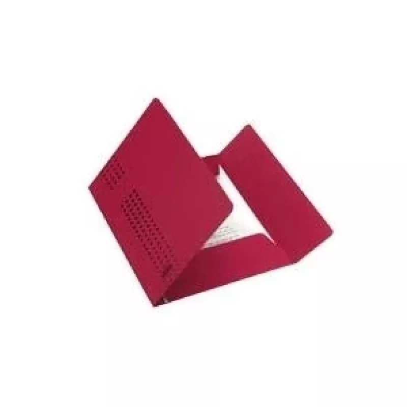 CHIC asiakirjakansio BORDEAUX 25 kpl (31477BX Neu: 100091171)