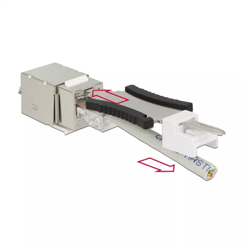 Delock 86404 Keystone-moduuli RJ45 Secure Cat.6 - LSA, valkoinen