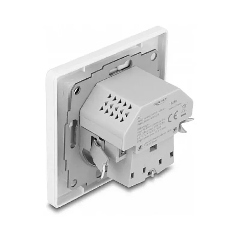 DeLOCK 11499 pistorasia tyyppi F USB-A ja USB-C valkoinen