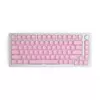 Glorious PC Gaming Race GMMK ABS Doubleshot V2 UK -perussarja - pinkki (GLO-KC-ABS-UKKIT-P)