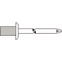 Sokeaniitti GESIPA 4×8,0 mm Al/A2 CAP standardi, 500 kpl