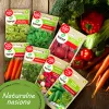 Toraf Summer Flavors siemensetti - 7 pakkausta