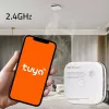 Savunilmaisin paristolla Tuya WiFi LED