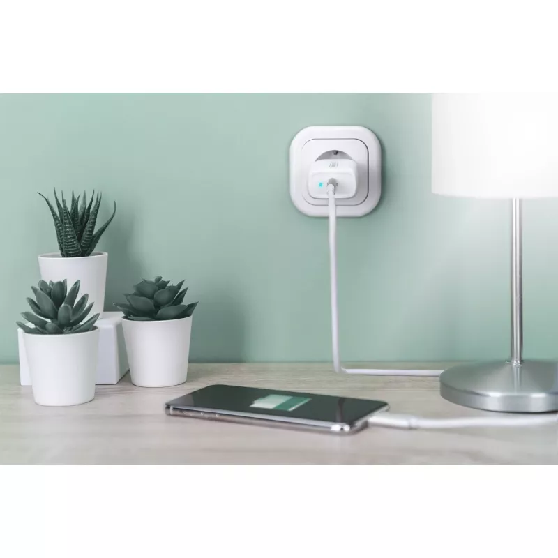 Digitus - verkkolaite - 20 wattia - 3 A - PD 3.0 (USB-C) - valkoinen (DA-10196)