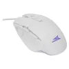 Baracuda BGM-051 Raptor hiiri valkoinen USB