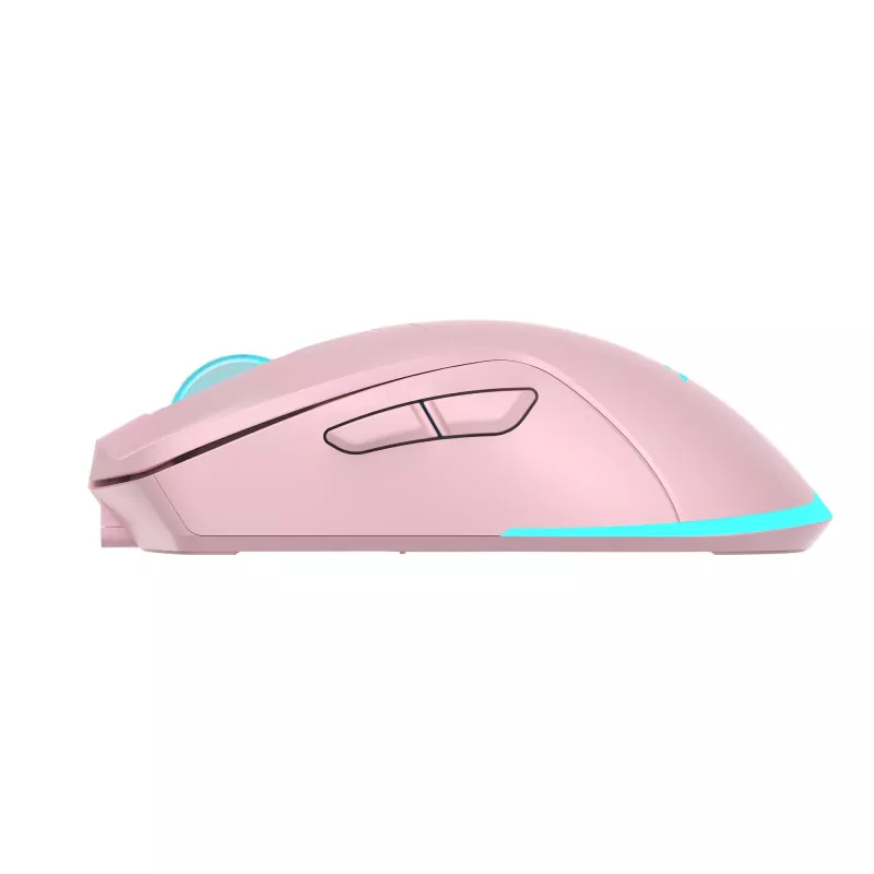 Baracuda BGM-124 Turtle -hiiri pinkki TURTLE-P