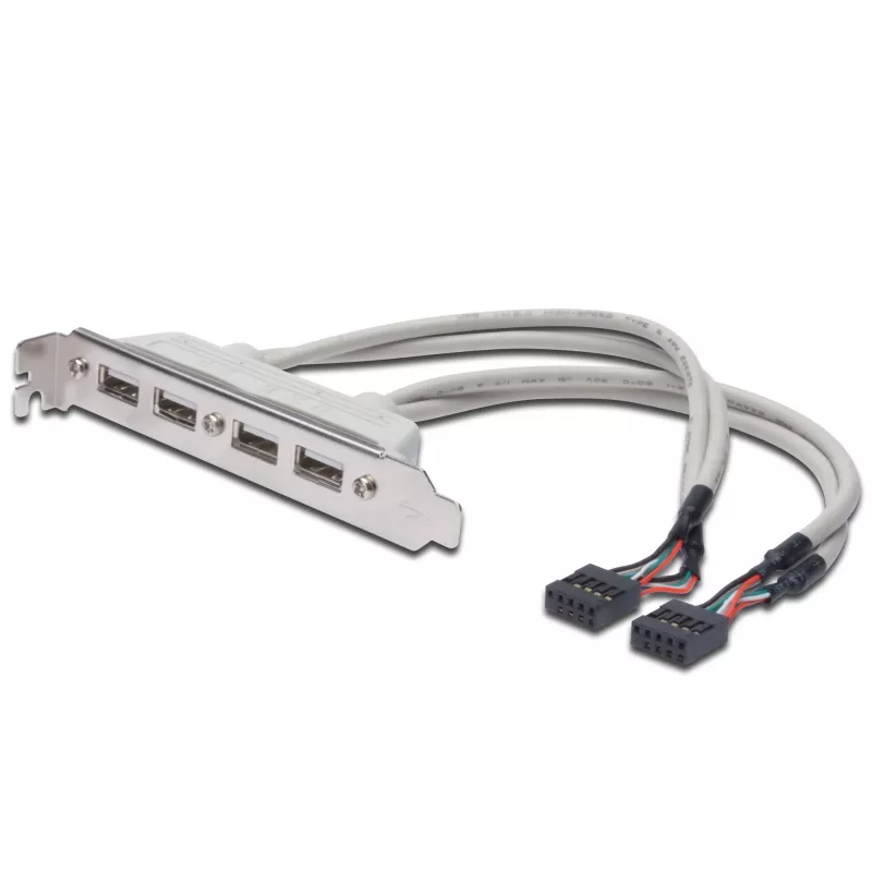 Korttipaikkakaapeli USB 2.0 HighSpeed tyyppi 2xIDC (5pin)/4xUSB A M/F harmaa 0,25 m