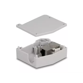 DeLOCK DIN-kiskoadapteri RJ45-liitin – RJ45-liitin Cat.6A harmaa