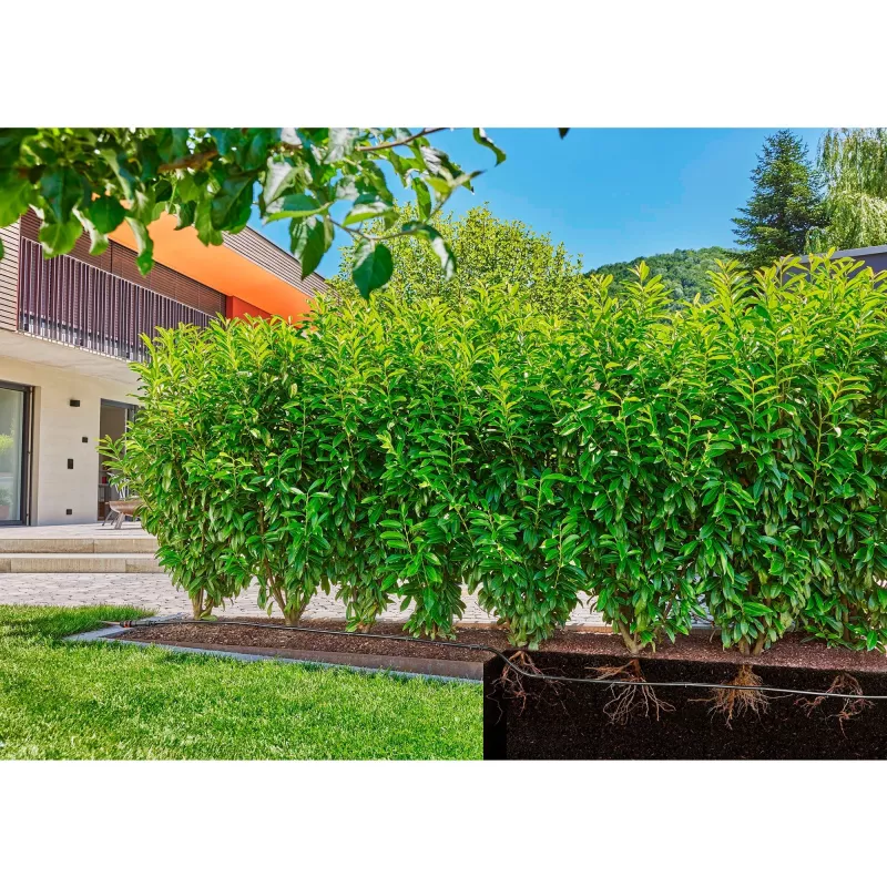 Gardena Micro-Drip-System tippukastelulinja, 1,6 l/h, 50 m (13504-20)