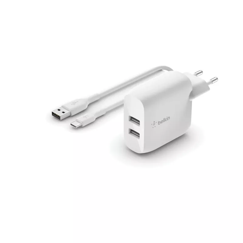 Mobiililaitelaturi Belkin WCE001VF1MWH