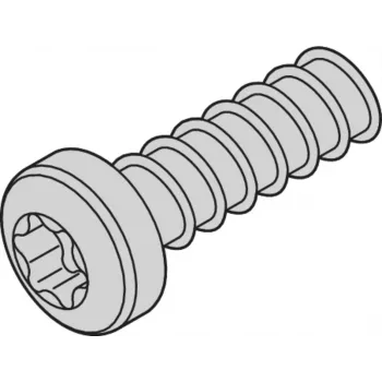 SCHROFF SCREW TORX 2.5X7.3 (100PCS) - telineen lisävaruste (24560157)
