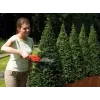 Pensasleikkuri Black & Decker GSL300 kaksoisterä 600g akku 3,6V