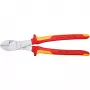 Knipex 74 06 250 tuote