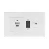 Moduulipidike DeLOCK Easy 45 130 x 80 mm