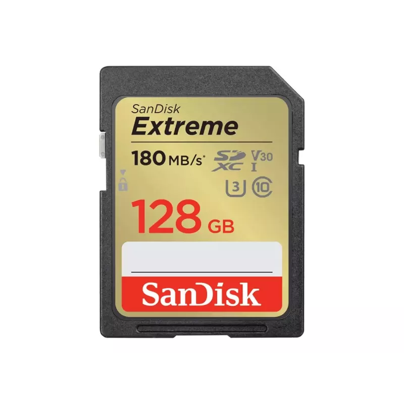 Muistikortti SDXC 128 GB UHS-1/SDSDXWA-128G-GNCIN Sandisk
