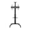 Teline Hagor BrackIT Single 165,1 cm (65