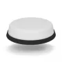 Panorama Ultra Low Profile WiFi 5G antenni LPM2W-24-72-2RPSP