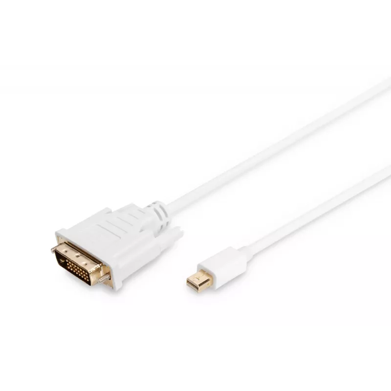 Kaapeli DisplayPort 1.1a Mini DP-DVI tyyppi A MM 2,0 m