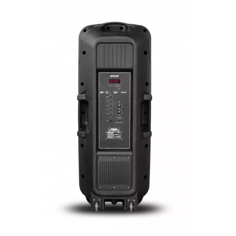 Kannettava kaiutin APA24 Bluetooth Karaoke, musta