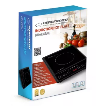 Esperanza EKH011 keittotaso musta tasainen pinta induktiokeittotaso 1 keittoalue(tta)