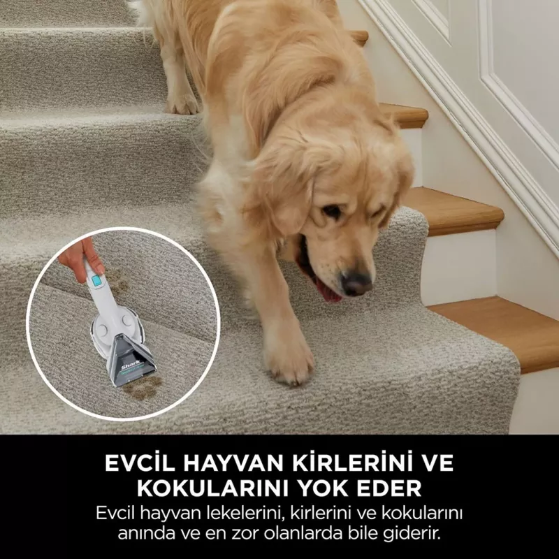 Sharkclean PX200EUT matonpuhdistuslaite käsikäyttöinen syvä-/välippuhdistus valkoinen