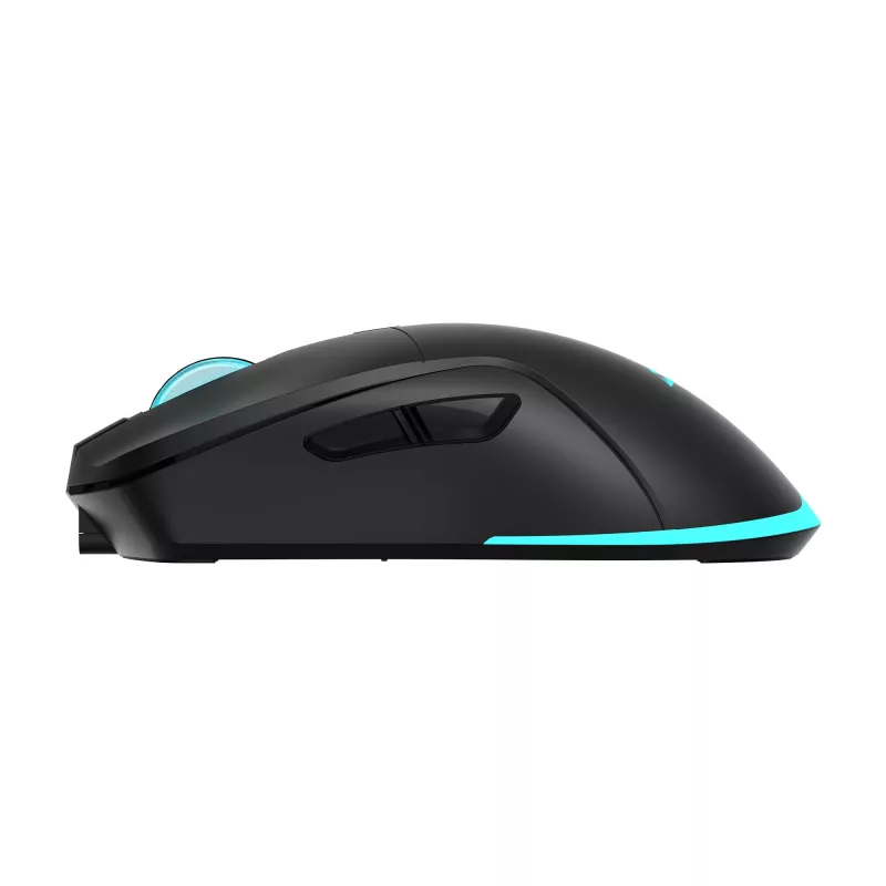 Baracuda BGM-121 Turtle -hiiri musta USB