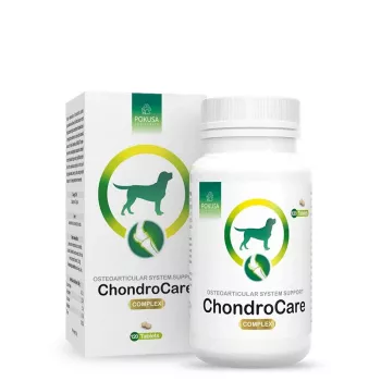 POKUSA ChondroCare Complex - ravintolisä koirille - 120 kpl